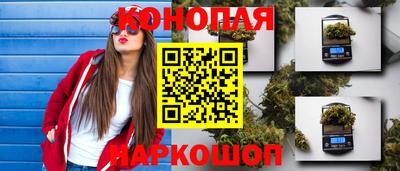 ECSTASY Новодвинск