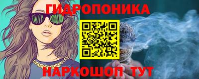 ECSTASY Новодвинск