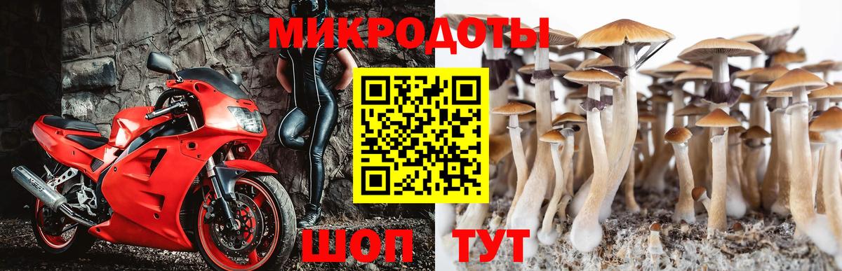 Галлюциногенные грибы мицелий Тамбов