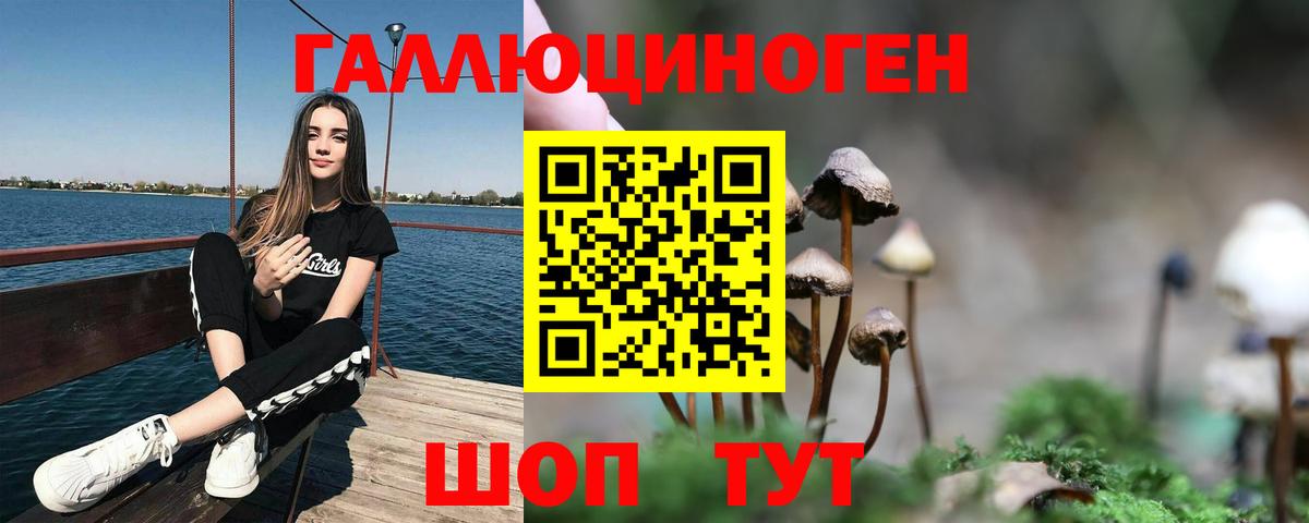 Тамбов  Псилоцибиновые грибы мицелий  Вход с VPN  Галлюциногенные грибы мицелий 